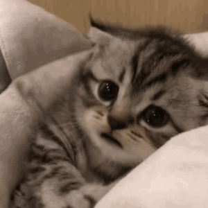 小娻孑在卧室里被躁
